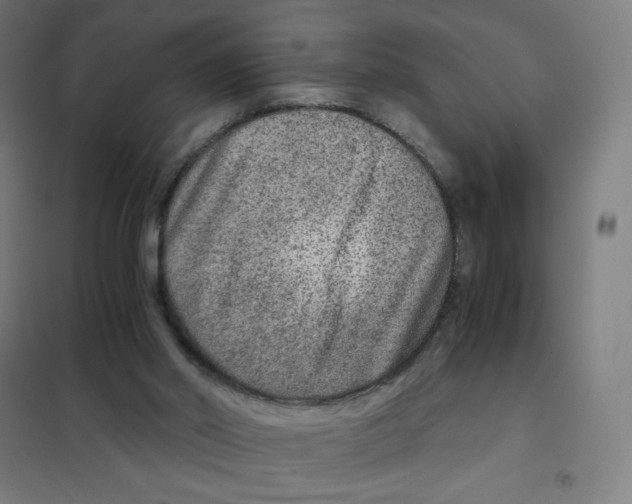 X0000101440014200808041225
