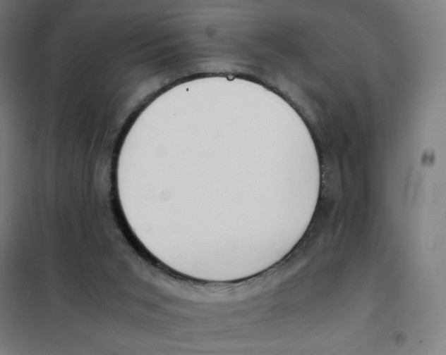 X0000101440015200808041225