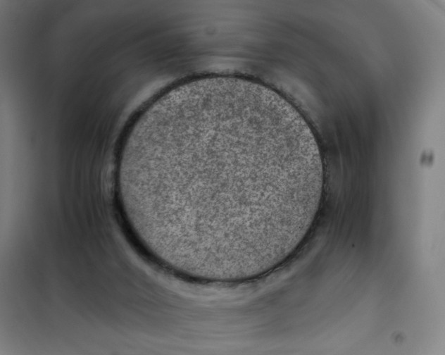 X0000101440016200808041225