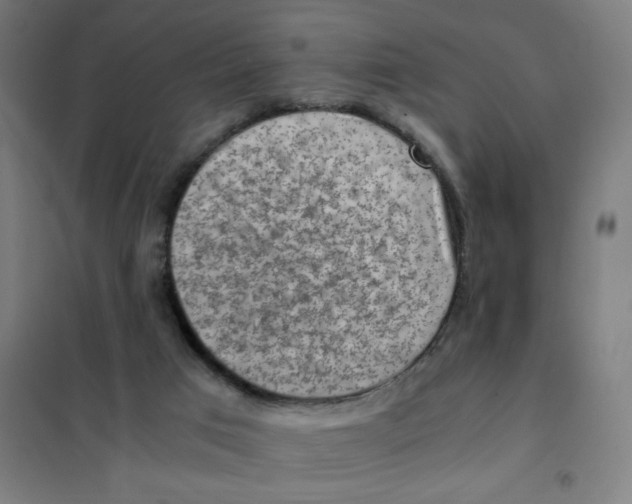 X0000101440017200808041225