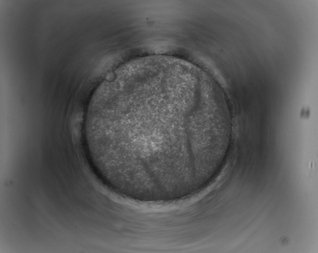 X0000101440018200808041225