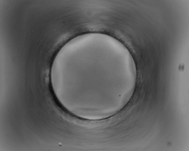 X0000101440019200808041225