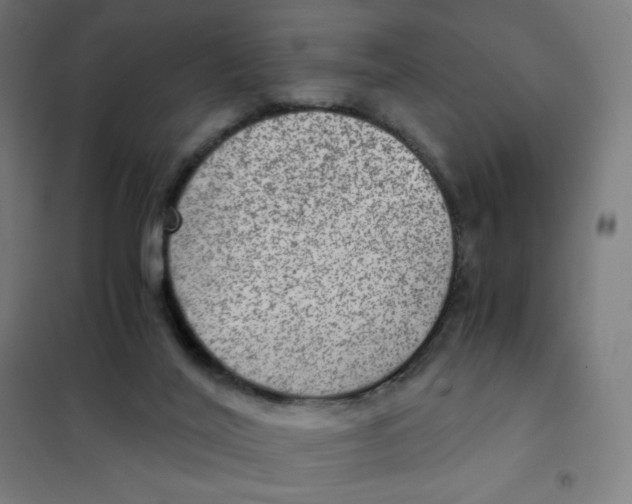 X0000101440020200808041225