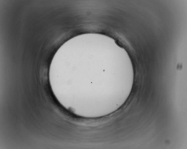 X0000101440021200808041225