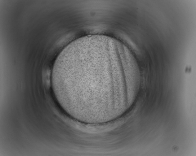 X0000101440022200808041225