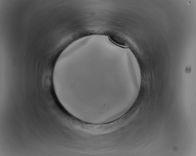 X0000101440023200808041225