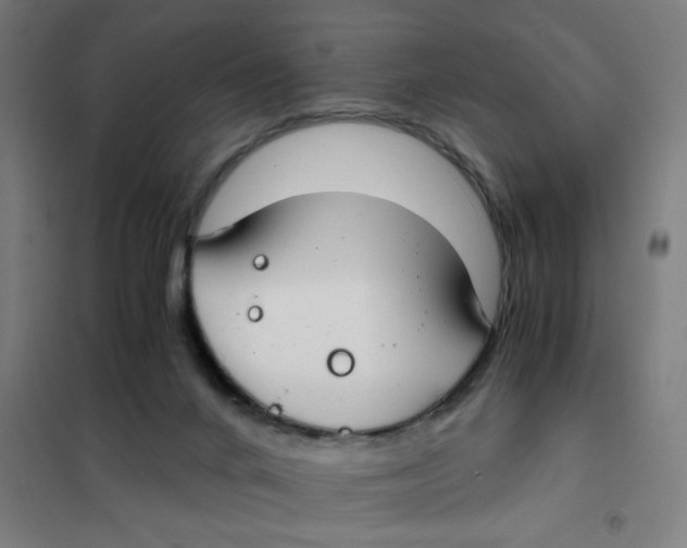 X0000101440024200808041225