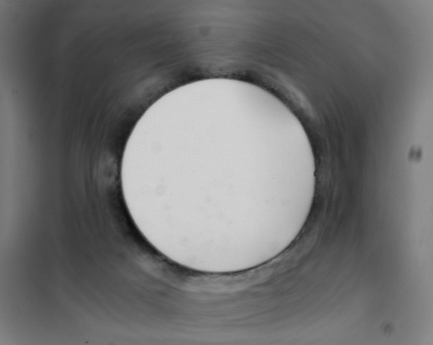 X0000101440025200808041225