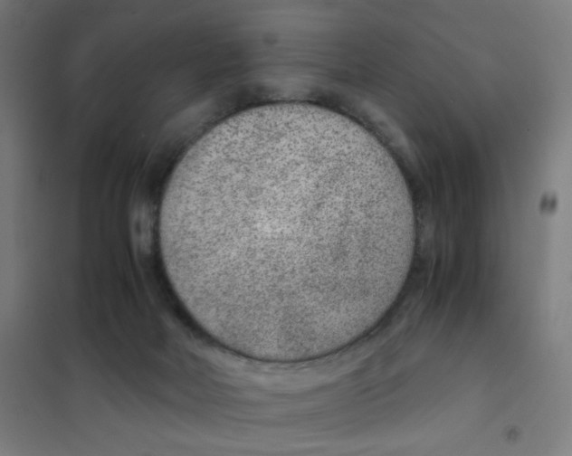 X0000101440026200808041225