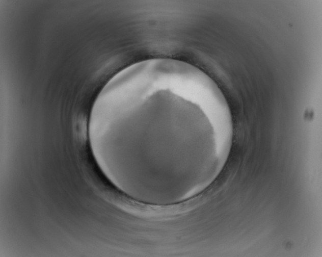 X0000101440027200808041225