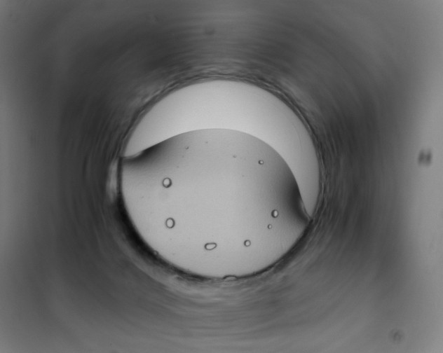 X0000101440028200808041225