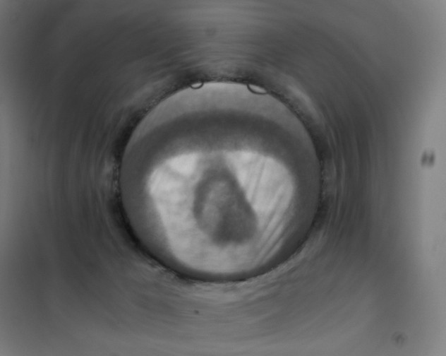 X0000101440029200808041225