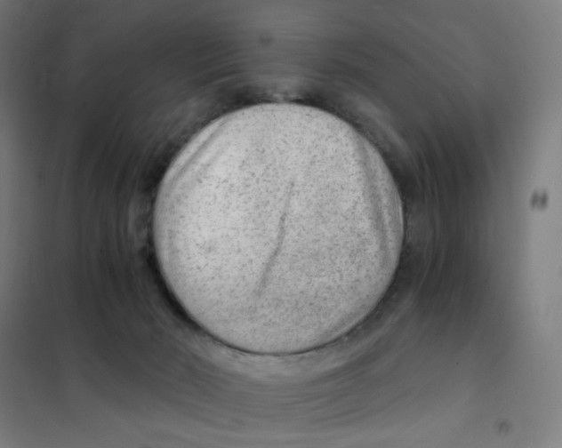 X0000101440030200808041225