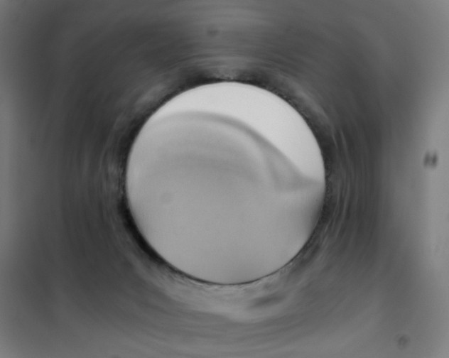 X0000101440031200808041225