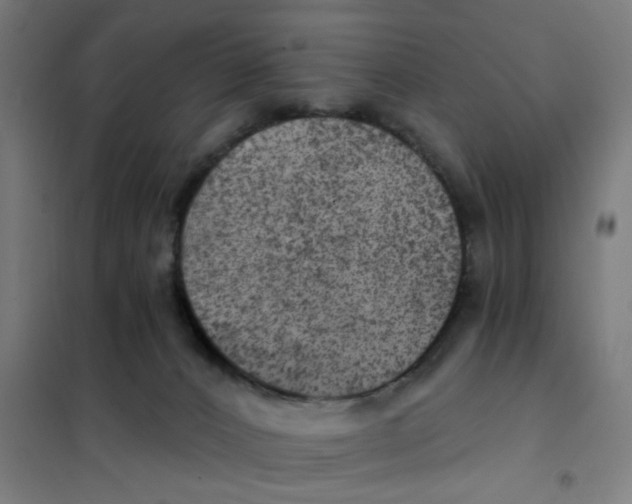 X0000101440032200808041225