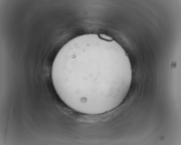 X0000101440033200808041225