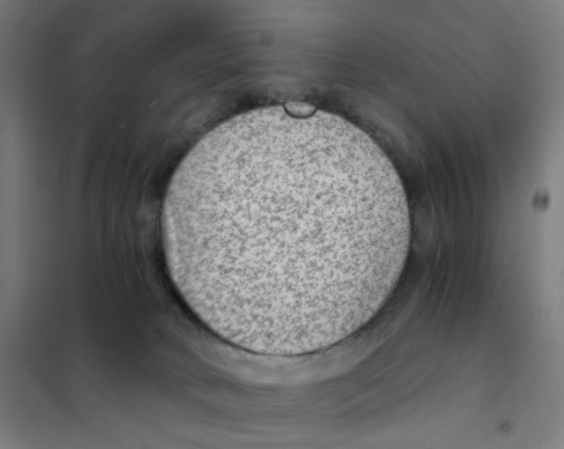 X0000101440034200808041225