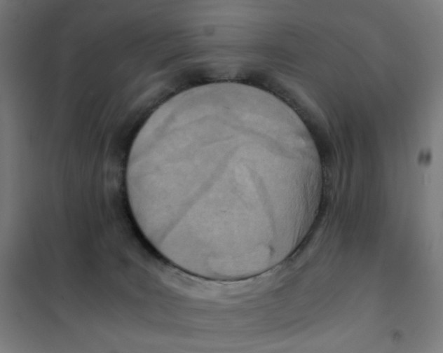 X0000101440035200808041225