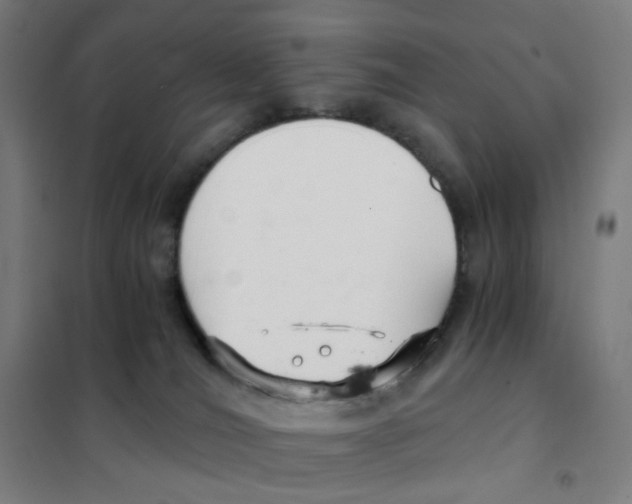 X0000101440036200808041225