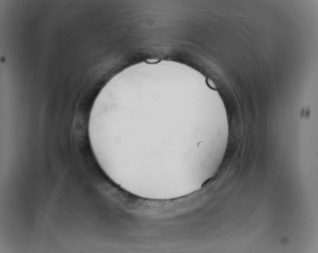 X0000101440037200808041225