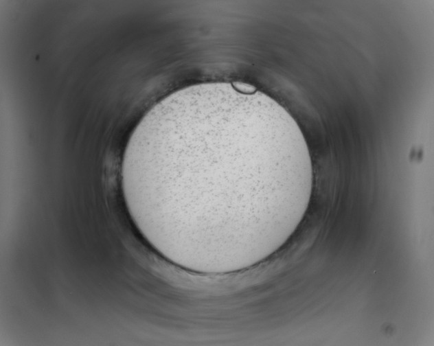 X0000101440038200808041225