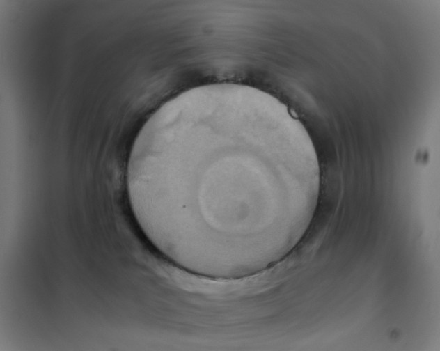 X0000101440039200808041225