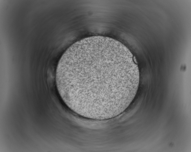 X0000101440040200808041225