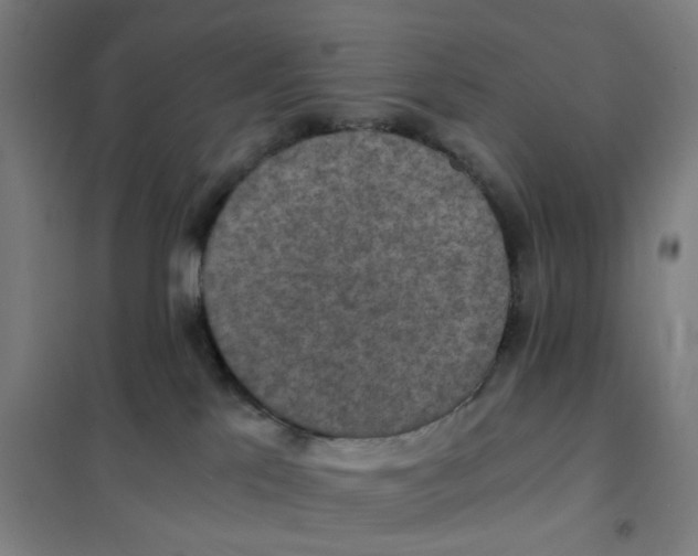 X0000101440041200808041225