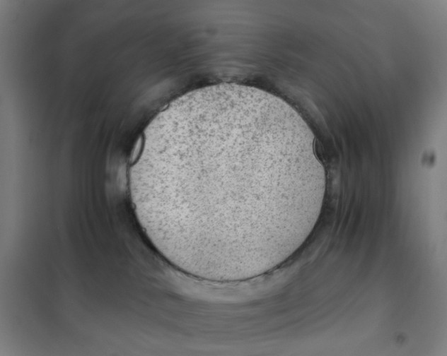 X0000101440042200808041225