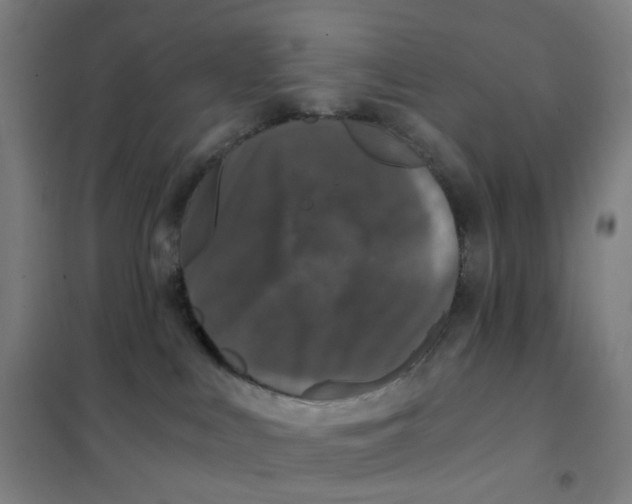 X0000101440043200808041225
