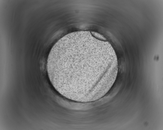 X0000101440044200808041225