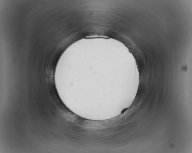 X0000101440045200808041225