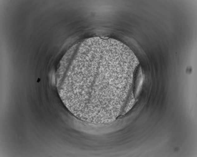 X0000101440046200808041225