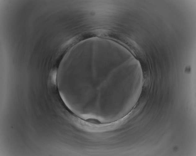 X0000101440047200808041225