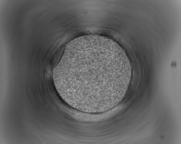 X0000101440048200808041225