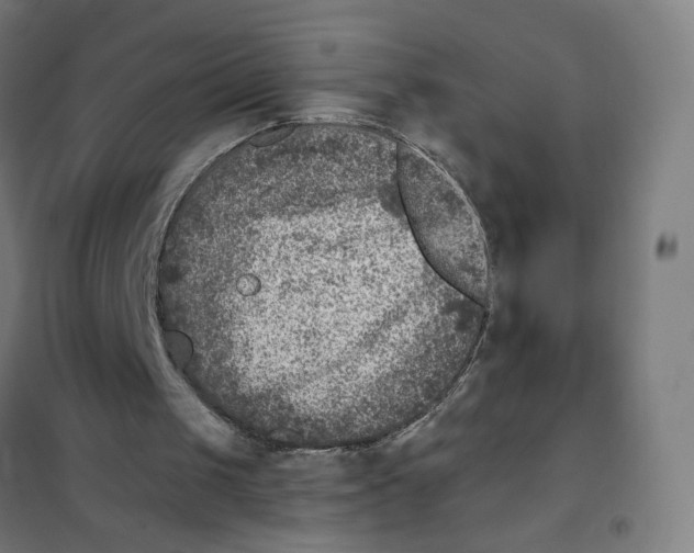 X0000101440049200808041224