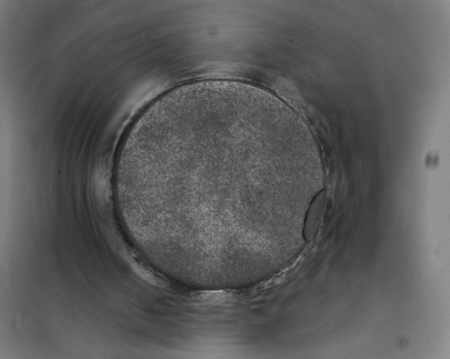 X0000101440050200808041224