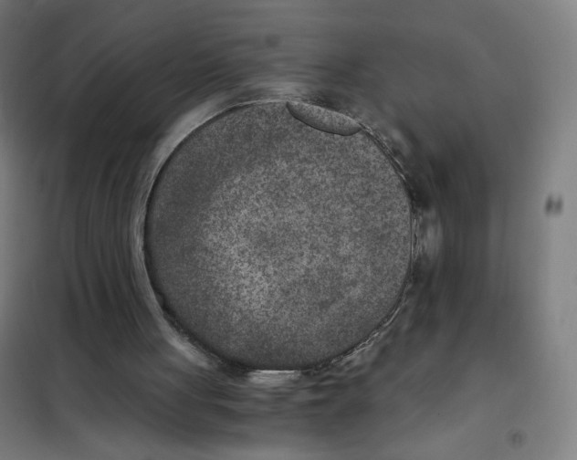 X0000101440051200808041224
