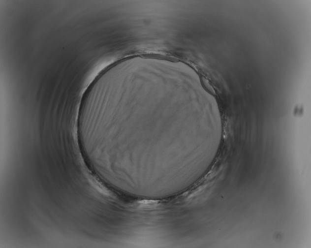 X0000101440052200808041224
