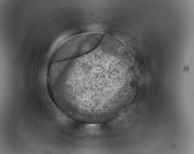 X0000101440053200808041224