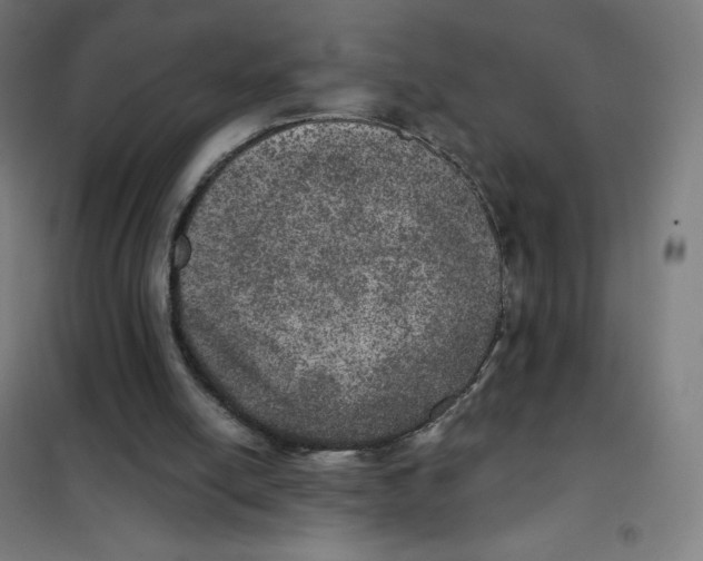 X0000101440054200808041224