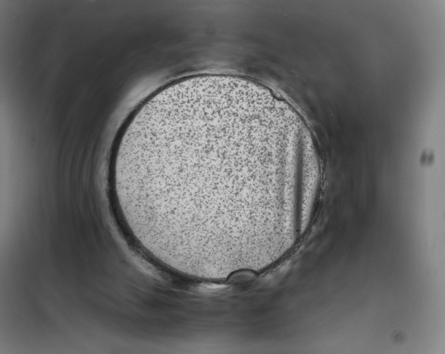 X0000101440055200808041224