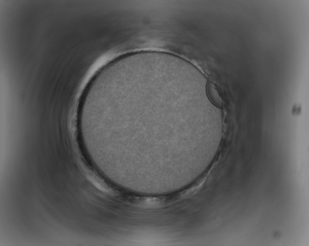 X0000101440056200808041224