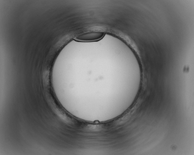 X0000101440057200808041224