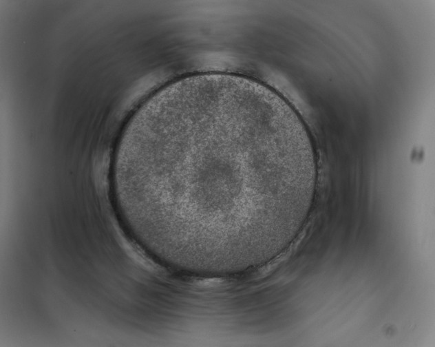 X0000101440058200808041224
