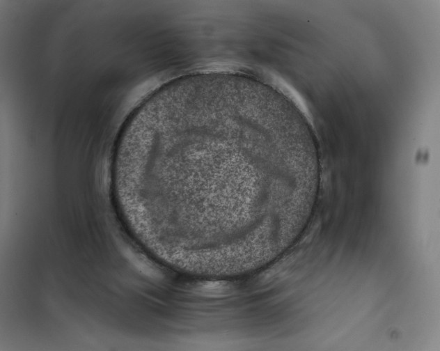 X0000101440059200808041224