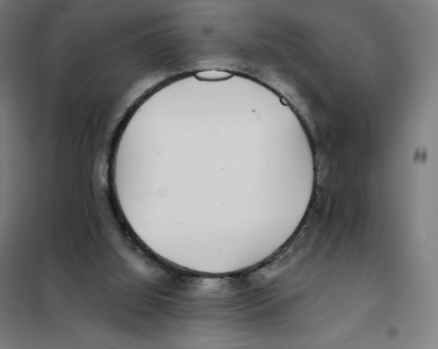 X0000101440060200808041224