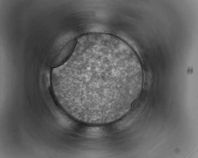 X0000101440061200808041224