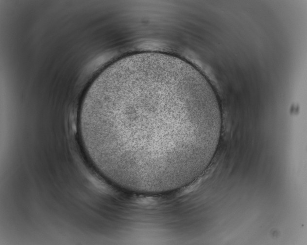 X0000101440062200808041224