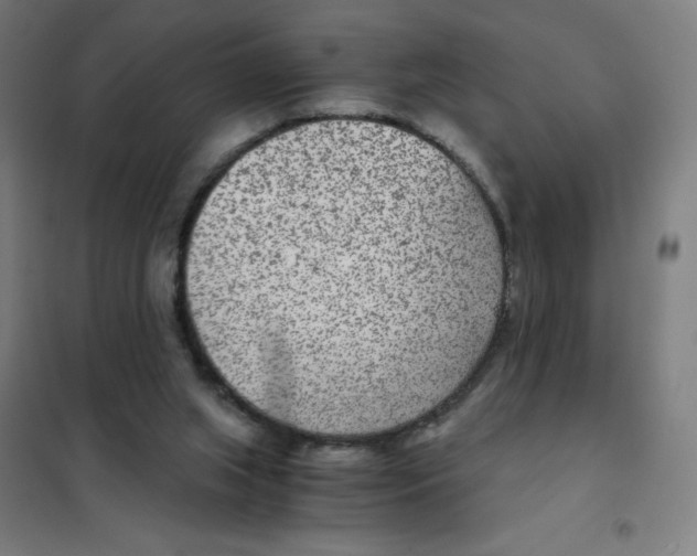 X0000101440063200808041224